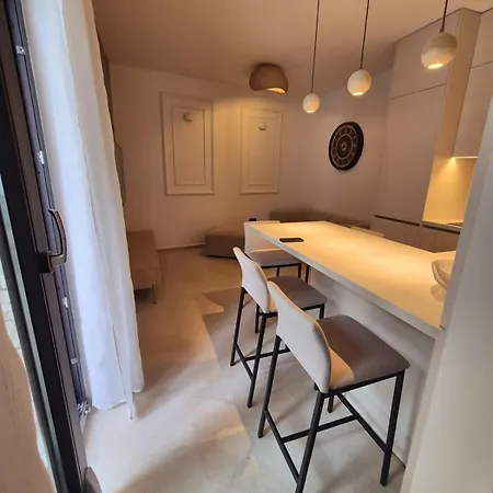 Dalmatian Elegant In The Center * ספליט