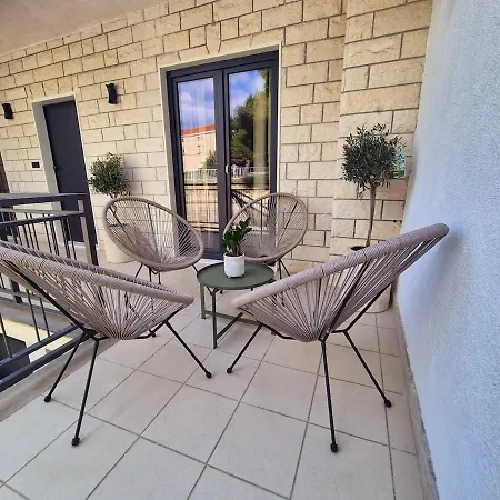 Dalmatian Elegant In The Center * ספליט