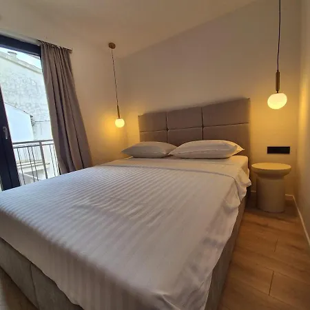 Dalmatian Elegant In The Center *